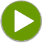 Play Icon